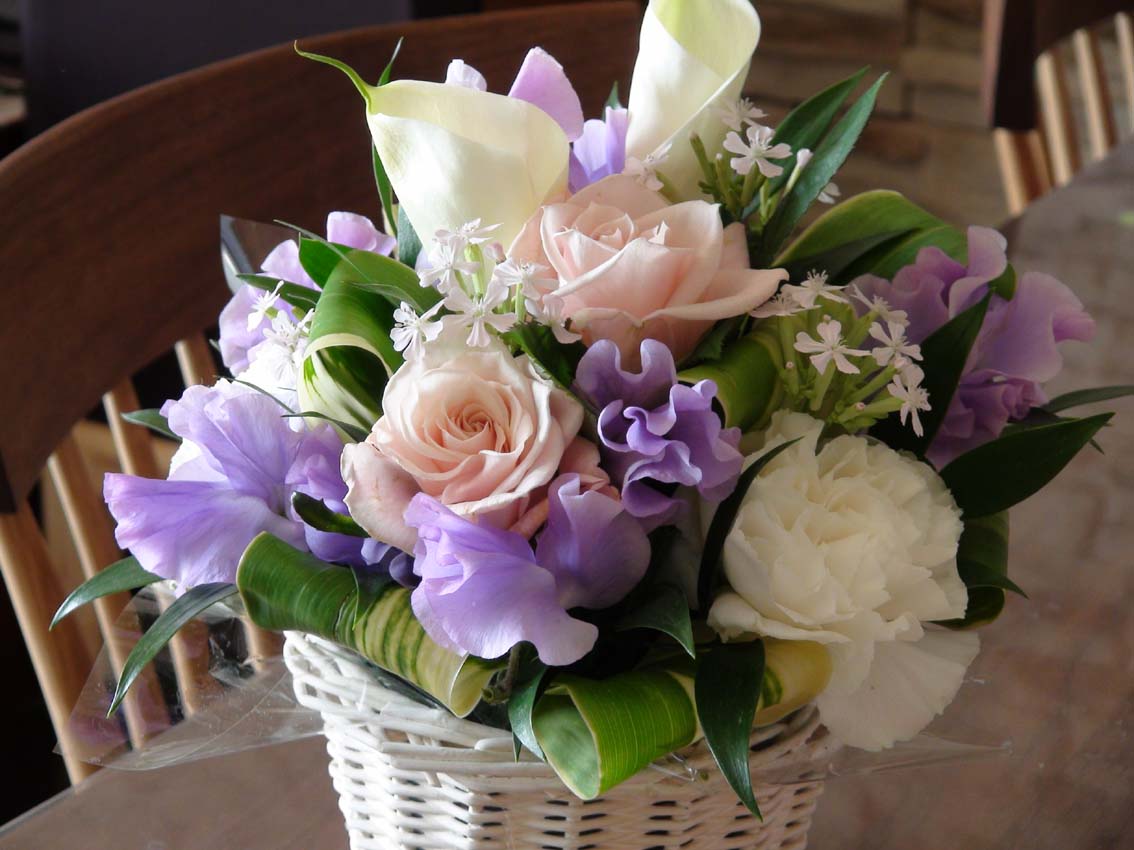 �q�[�����O���[���uVaiolet Grace�v