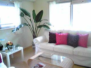 Natural Style �q�[�����O�T����