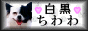 SIROKURO.GIF - 2,717BYTES
