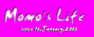 TOPBANNER2.JPG - 11,019BYTES